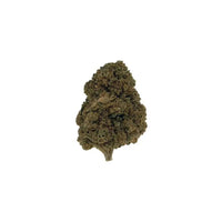Fleur de CBD nommée Mango Kush