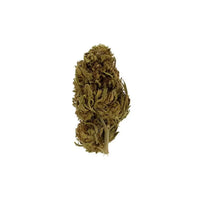 Fleur de CBG