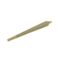 Pre Roll Amnesia Premium ZION