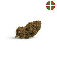 Choco Haze CBD 5%