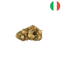 AK47 CBD 5%