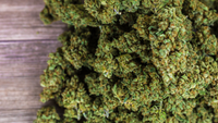 Quels sont les effets secondaires du CBD ?